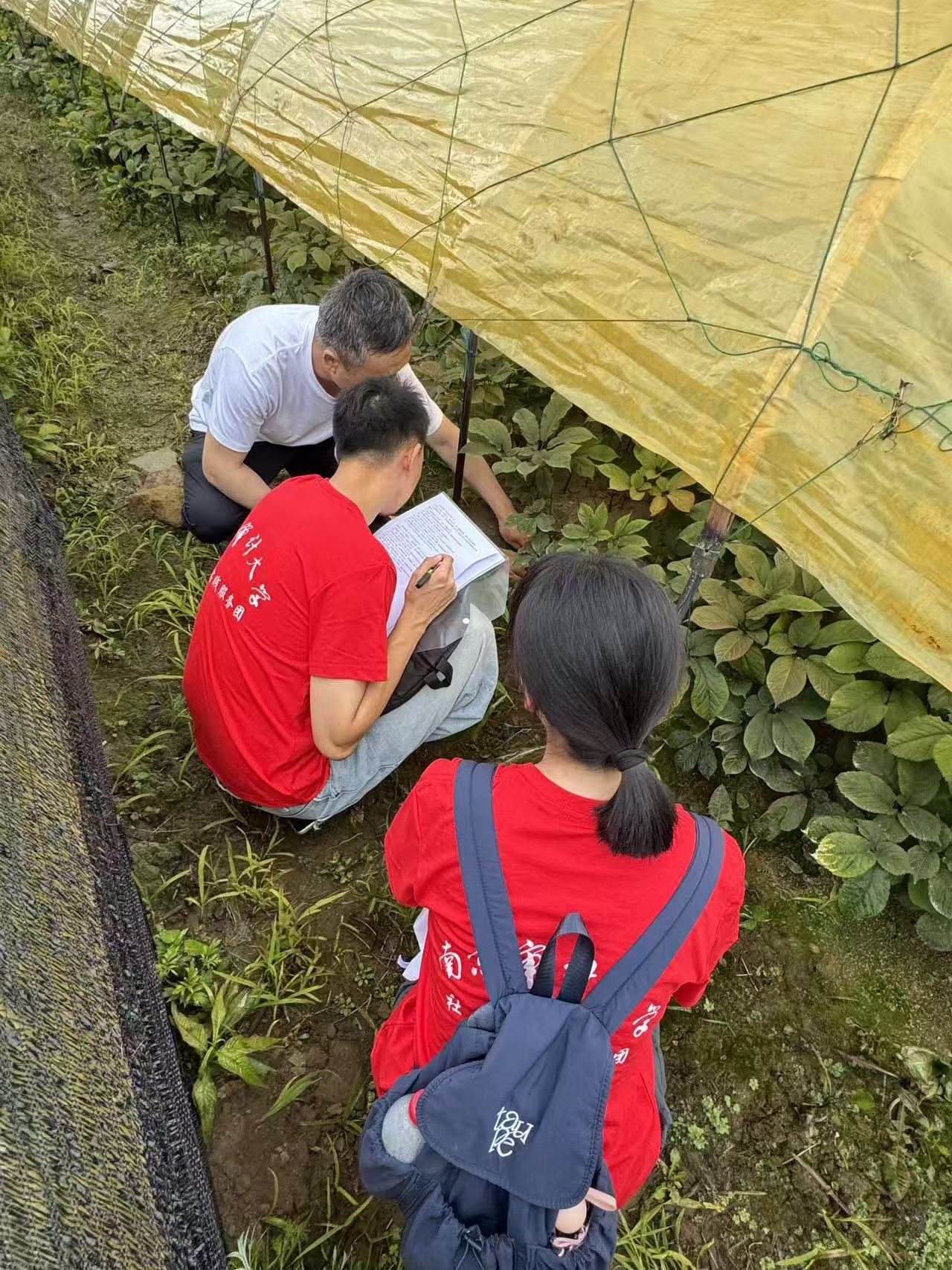 新澳门六合彩